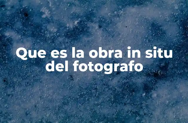Que es la Obra In Situ Del Fotografo