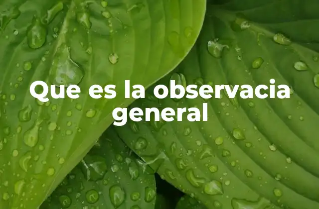 Que es la Observacia General
