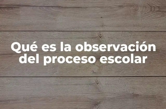 Qué es la Observación Del Proceso Escolar