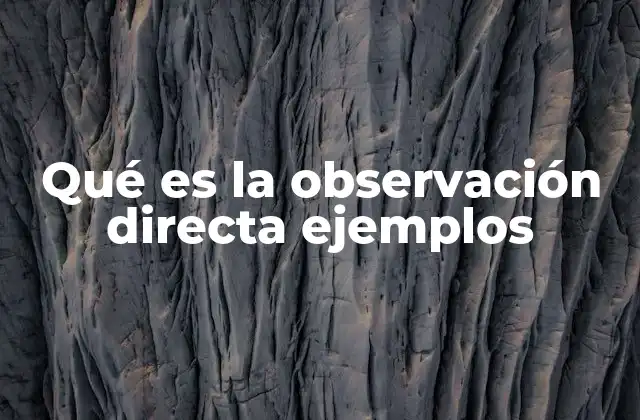 La importancia de la observación en la investigación