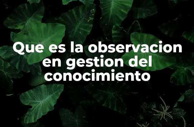 Que es la Observacion en Gestion Del Conocimiento