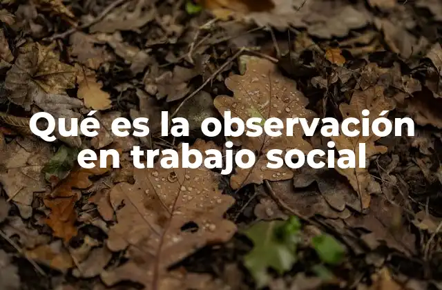 La importancia de la observación en el análisis social