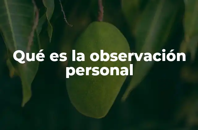 Qué es la Observación Personal