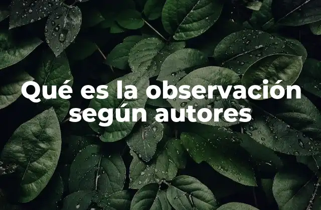 Qué es la Observación según Autores
