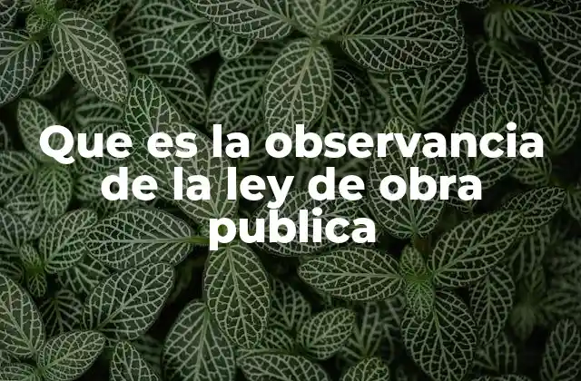 Que es la Observancia de la Ley de Obra Publica