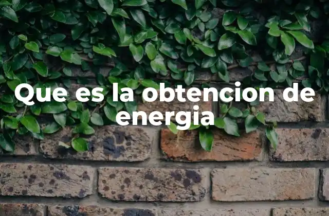 Que es la Obtencion de Energia