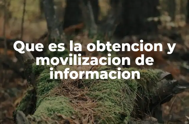 Que es la Obtencion y Movilizacion de Informacion