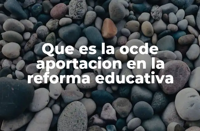 El rol internacional de la OCDE en la mejora educativa