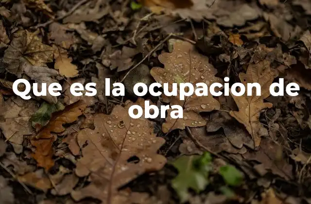 Que es la Ocupacion de Obra 2 La ocupación de obra y sus implicaciones en la vivienda