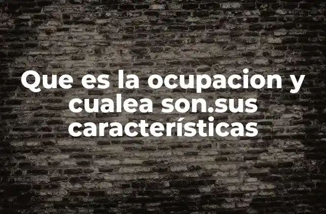 Que es la Ocupacion y Cualea Son.sus Características