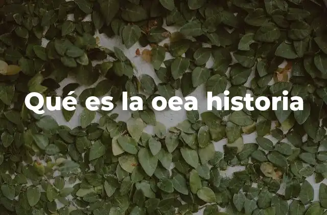 Qué es la Oea Historia