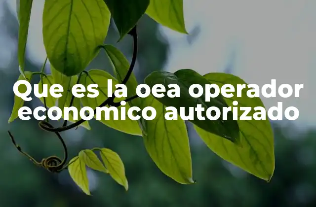 Que es la Oea Operador Economico Autorizado