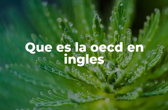 Que es la Oecd en Ingles