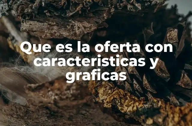 La representación visual de la oferta y su importancia en la economía