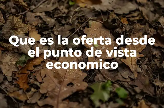 Que es la Oferta desde el Punto de Vista Economico
