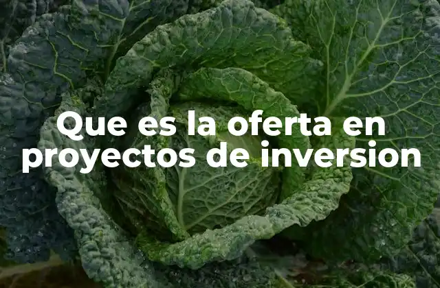 Que es la Oferta en Proyectos de Inversion