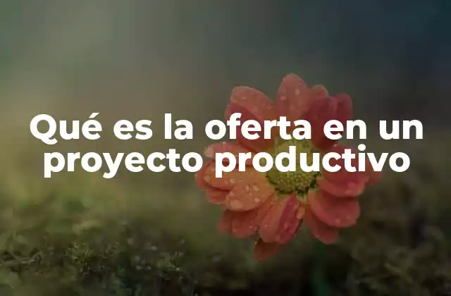 Qué es la Oferta en un Proyecto Productivo