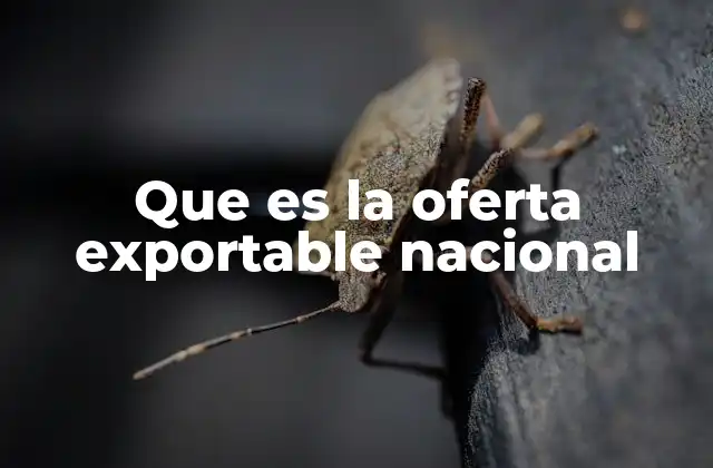 Factores que influyen en la capacidad exportadora de un país