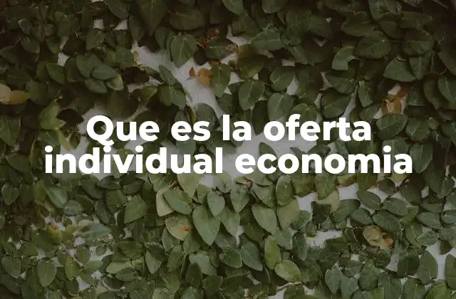 Que es la Oferta Individual Economia
