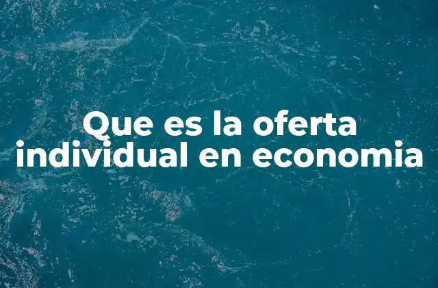 Que es la Oferta Individual en Economia