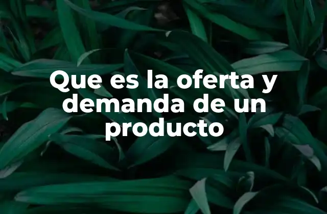 Que es la Oferta y Demanda de un Producto