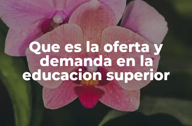 Que es la Oferta y Demanda en la Educacion Superior