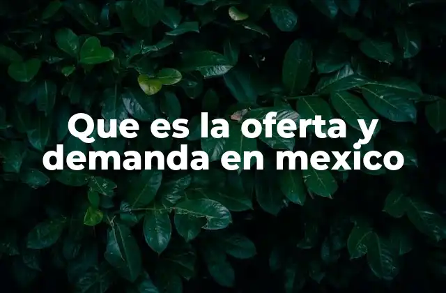 Que es la Oferta y Demanda en Mexico