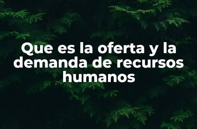 Que es la Oferta y la Demanda de Recursos Humanos