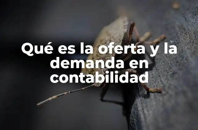 Qué es la Oferta y la Demanda en Contabilidad