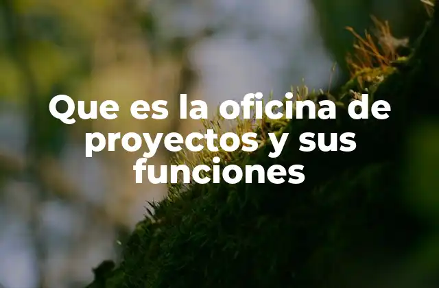 La importancia de tener una estructura dedicada a la gestión de proyectos