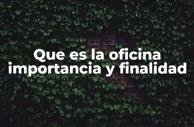 Que es la Oficina Importancia y Finalidad