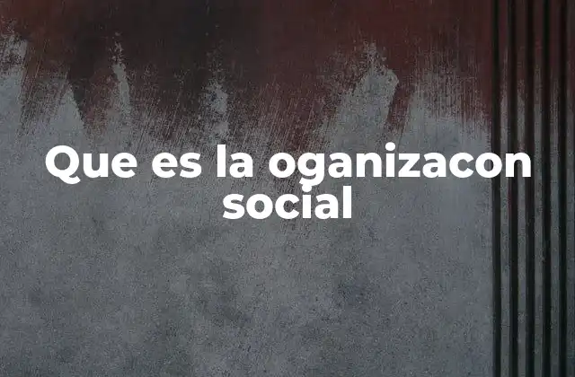 Que es la Oganizacon Social