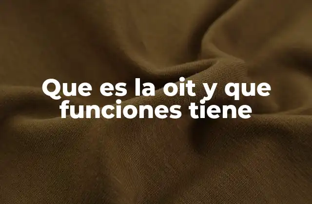 Que es la Oit y que Funciones Tiene