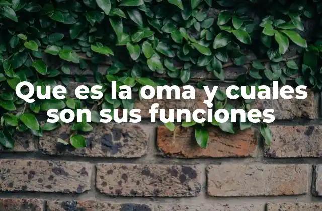 Que es la Oma y Cuales Son Sus Funciones