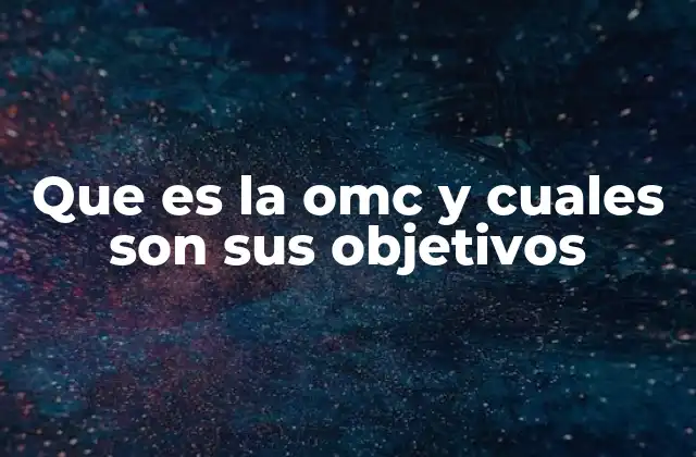 Que es la Omc y Cuales Son Sus Objetivos 2 El papel de la OMC en la economía internacional