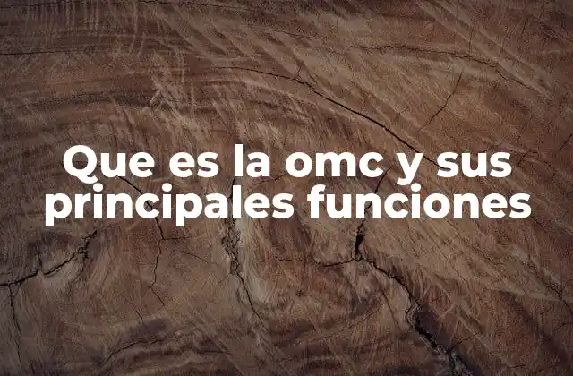 Que es la Omc y Sus Principales Funciones