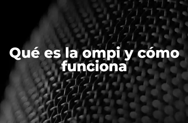 Qué es la Ompi y Cómo Funciona