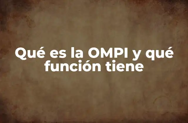 Qué es la Ompi y Qué Función Tiene