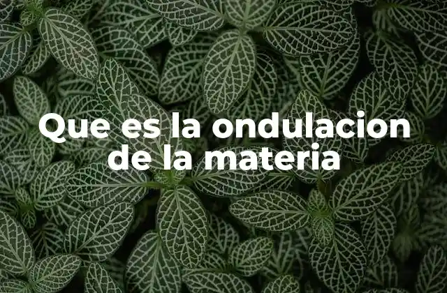 Que es la Ondulacion de la Materia