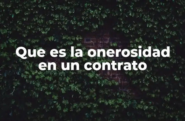 Que es la Onerosidad en un Contrato