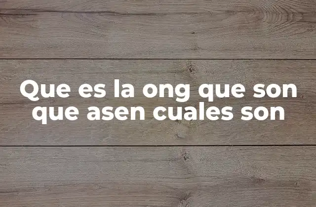 Que es la Ong que Son que Asen Cuales Son