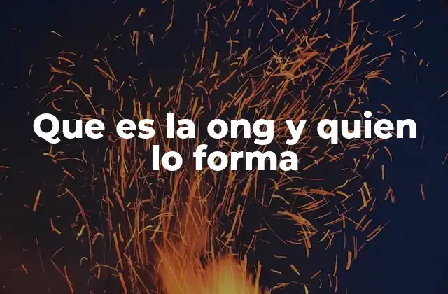 Que es la Ong y Quien Lo Forma