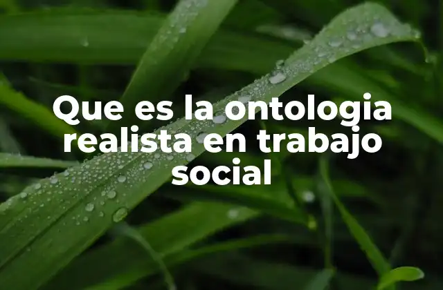 Que es la Ontologia Realista en Trabajo Social