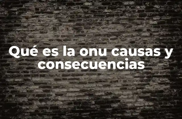 Qué es la Onu Causas y Consecuencias