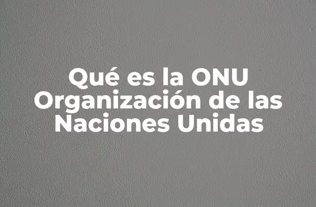 Qué es la Onu Organización de las Naciones Unidas