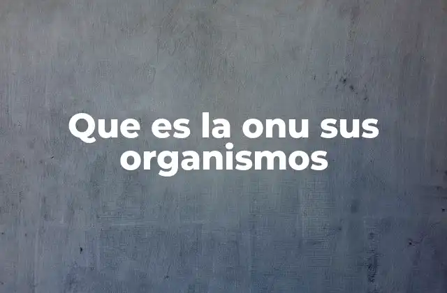Que es la Onu Sus Organismos