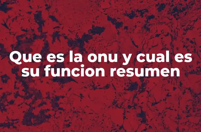 Que es la Onu y Cual es Su Funcion Resumen