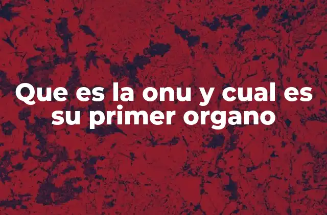 Que es la Onu y Cual es Su Primer Organo