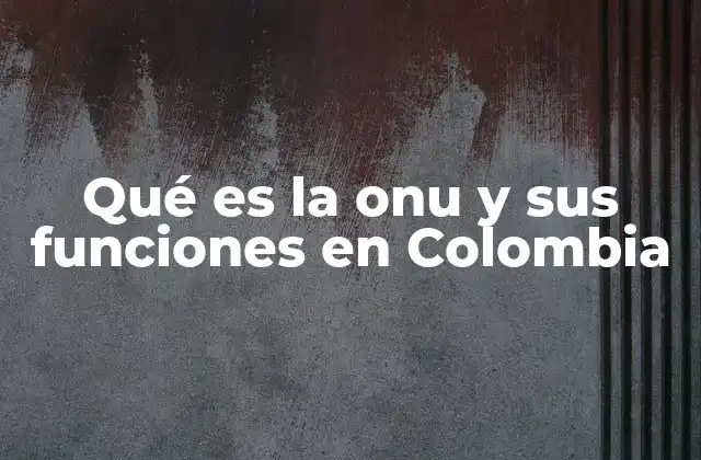 Qué es la Onu y Sus Funciones en Colombia