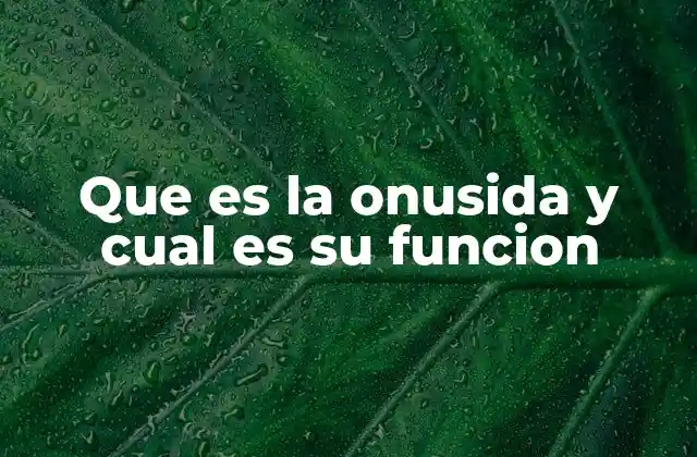 Que es la Onusida y Cual es Su Funcion